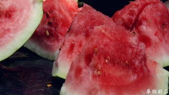 吃瓜喝茶的后果,后果不堪设想