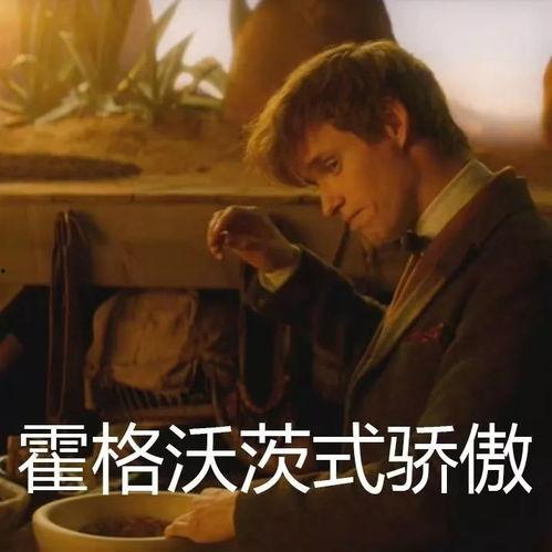 麻瓜啥时候吃,揭秘魔法与现实的饮食奥秘