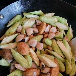 产妇吃沙白瓜的做法,沙白瓜的食用方法与营养功效