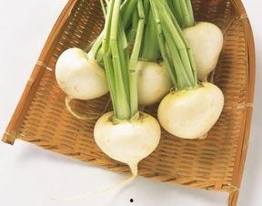 喜欢吃葱吗吃瓜吃萝卜,葱香、瓜甜、萝卜脆，探寻美食的独特魅力