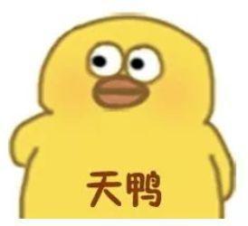 吃瓜无语特效,网络热梗背后的趣味与思考