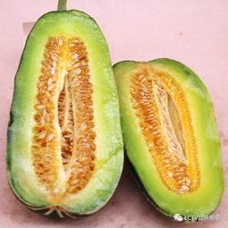 有名的吃瓜,吃瓜群众揭秘明星幕后故事