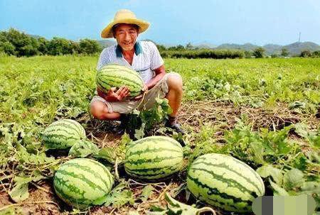 吃瓜的事件,揭秘娱乐圈最新热点事件