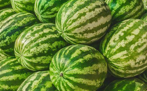 福建福州吃瓜,品味榕城清凉一夏