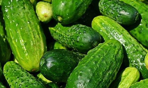 高瓜菜有期怎么吃,多样美味吃法大揭秘
