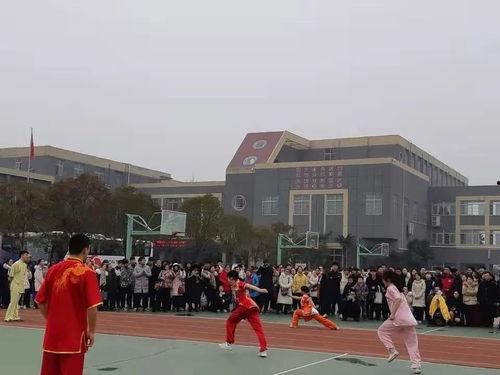 河大附中吃瓜,揭秘校园食堂风波背后的真相