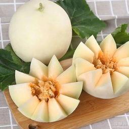 吃瓜刺激嗓子,揭秘嗓子疼痛的真相与防护措施