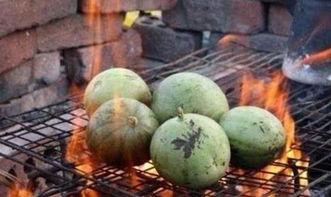 奇葩公寓吃瓜,吃瓜群众揭秘邻里奇闻轶事