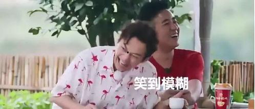 吃瓜小熊黄渤,揭秘娱乐圈背后的故事