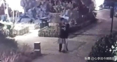 花帽街吃瓜完整版,揭秘街头美食背后的故事与传奇