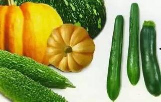 秋吃瓜,瓜果飘香，尽享丰收美味