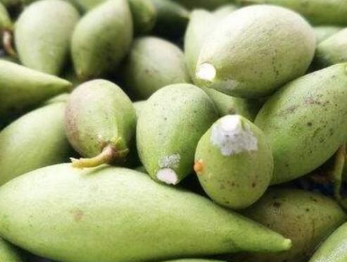 吃稍瓜,探寻稍瓜的独特魅力