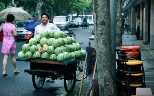 福建沿海吃瓜群众,吃瓜群众的欢乐海洋