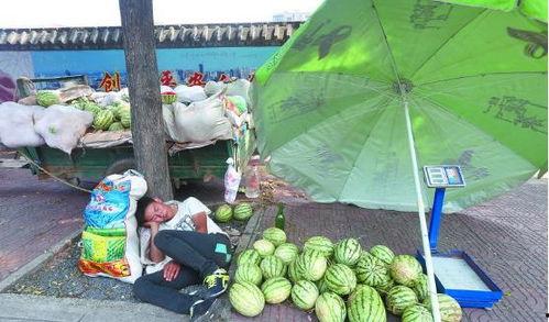 河中央吃瓜,一场别开生面的吃瓜盛宴