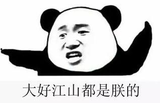 吃瓜群众群项目,网络社交新现象背后的故事