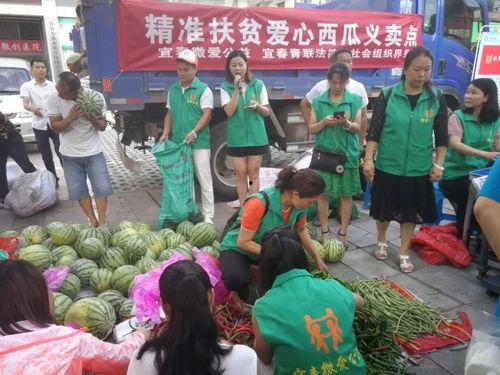 吃瓜群众群项目,网络社交新现象背后的故事