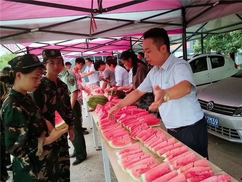 吃瓜群众群项目,网络社交新现象背后的故事