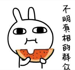圈内吃瓜搞笑句子,吃瓜群众的欢乐时光
