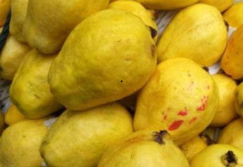 吃玉瓜血压升高