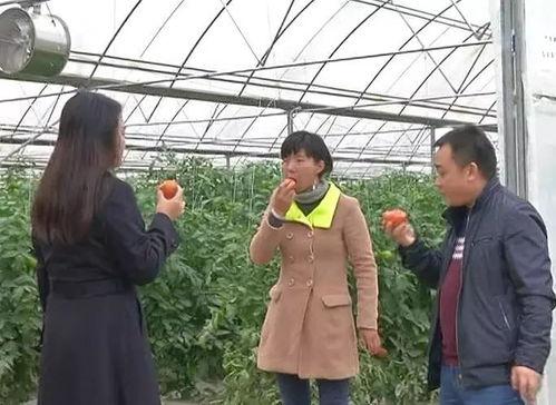 深圳冬天吃瓜群众