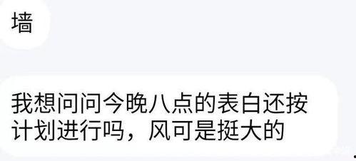 吃瓜群众们表白图片,一张张表白图片背后的故事