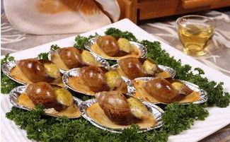 白玉蜗牛吃瓜,探寻蜗牛的独特饮食习惯