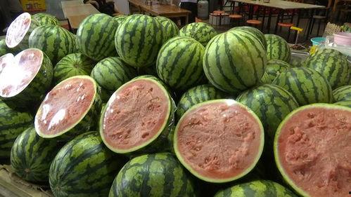 今年网络吃瓜现状,盘点那些让人笑掉大牙的瓜界奇闻