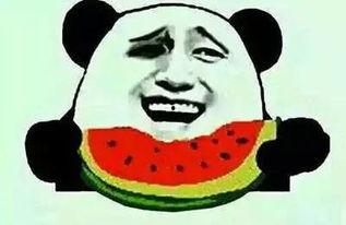 吃瓜村民二狗子