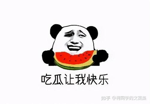 坐等明天吃瓜文案,瓜熟蒂落，精彩不容错过！