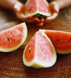 吃瓜蒙主东北,揭秘东北方言中的趣味与智慧