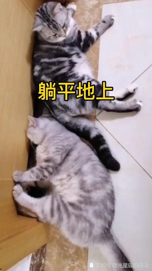 靠吃瓜躺平啦,揭秘当代年轻人的生活态度