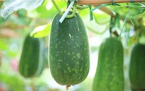 大盒说吃瓜,揭秘娱乐圈背后的那些事儿