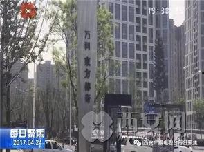 长安万科事件吃瓜,揭秘背后真相，吃瓜群众围观维权风云