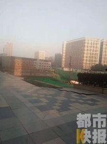 长安万科事件吃瓜,揭秘背后真相，吃瓜群众围观维权风云