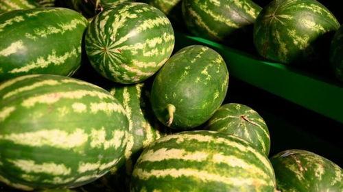 天津吃瓜中毒案件,揭秘夏日美食背后的安全隐患