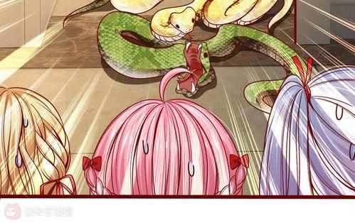 用吃瓜系统吃皇帝的瓜,揭秘皇帝的瓜田传奇