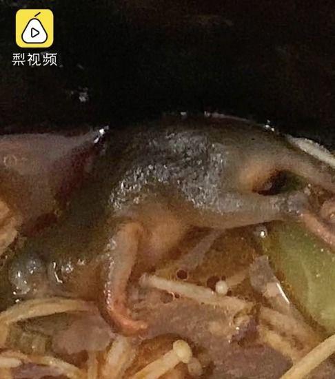 女友吃瓜吃出老鼠,女友的惊悚食瓜经历