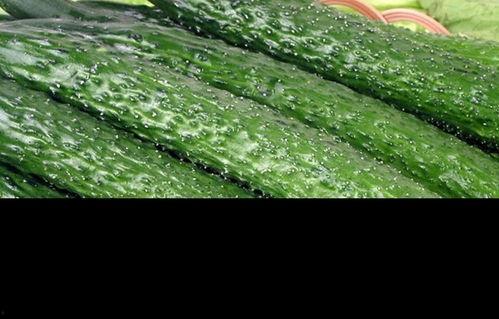 吃瓜情报处连线,揭秘娱乐圈幕后真相