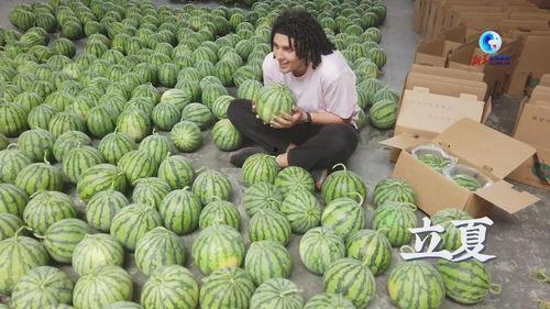 吃瓜情报处连线,揭秘娱乐圈幕后真相