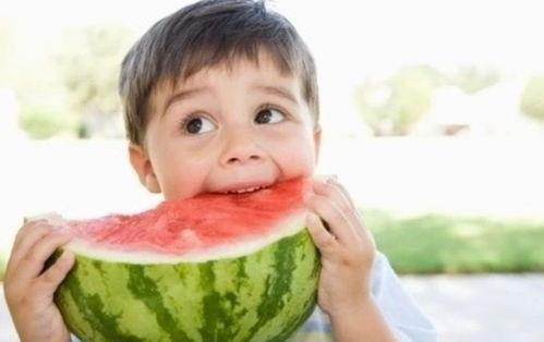 综艺吃瓜鹅活宝,揭秘明星幕后趣事