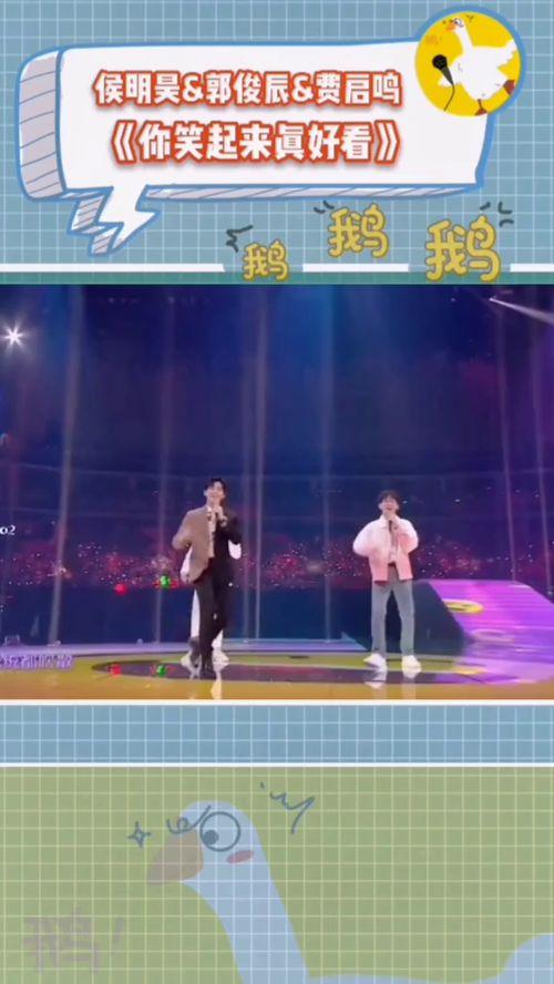 综艺吃瓜鹅活宝,揭秘明星幕后趣事