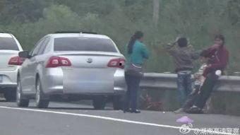 吃瓜群众被罚事件,一起网络围观引发的罚款风波