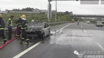 吃瓜群众被罚事件,一起网络围观引发的罚款风波