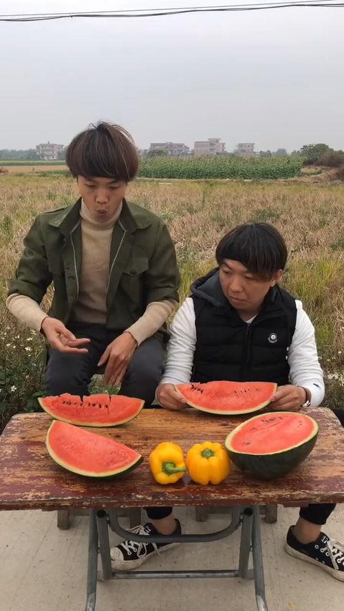 小区吃瓜比赛方案,小区夏日吃瓜大赛欢乐启幕