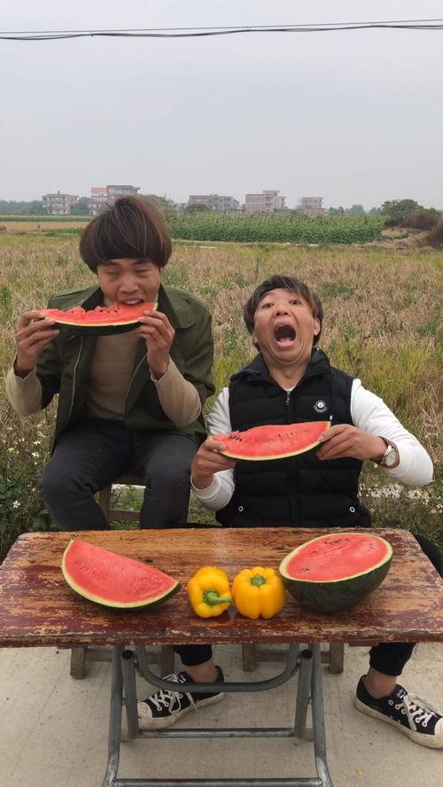 小区吃瓜比赛方案,小区夏日吃瓜大赛欢乐启幕