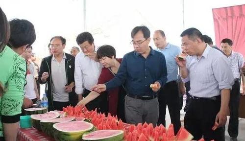 莘县吃瓜群众事迹,见证时代变迁的民间观察者